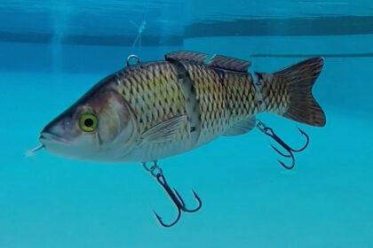 Animated Lure Shark Tank Update
